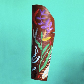 Tesse, capa proteica (terceiro colocado na primeira edição do Prêmio de Design)